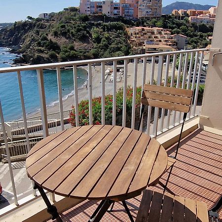 Appartement T3 A Banyuls, Climatise, Proche Plage - Fr-1-309-281 Dış mekan fotoğraf