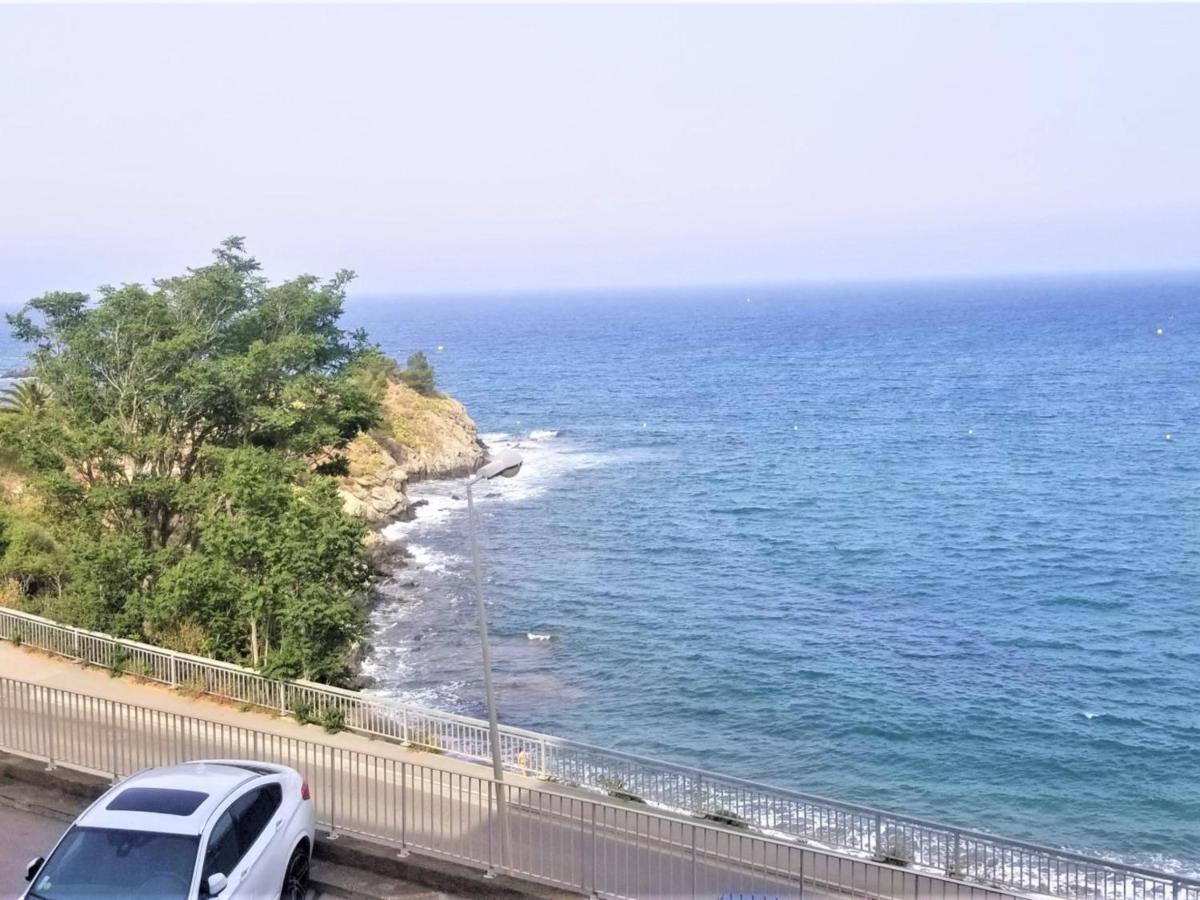 Appartement T3 A Banyuls, Climatise, Proche Plage - Fr-1-309-281 Dış mekan fotoğraf